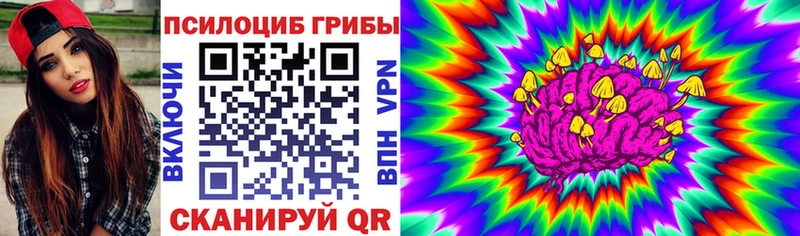 Псилоцибиновые грибы Psilocybine cubensis  купить наркотики цена  Искитим 